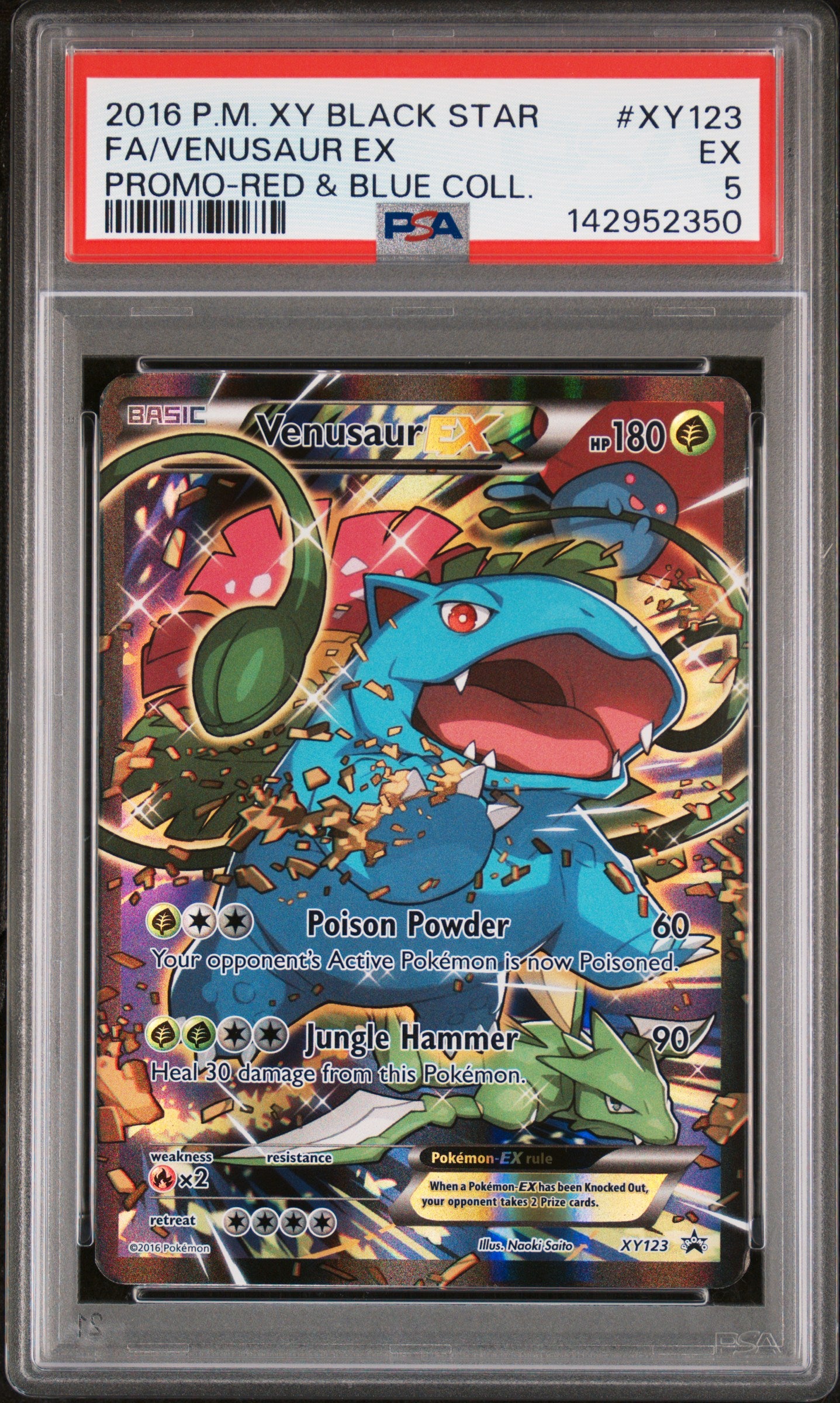 PSA 5 2016 VENUSAUR EX XY123 BLACK STAR PROMO