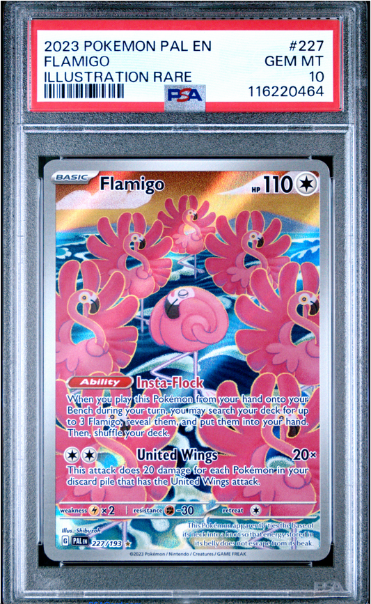 PSA 10 2023 FLAMIGO (227/193)