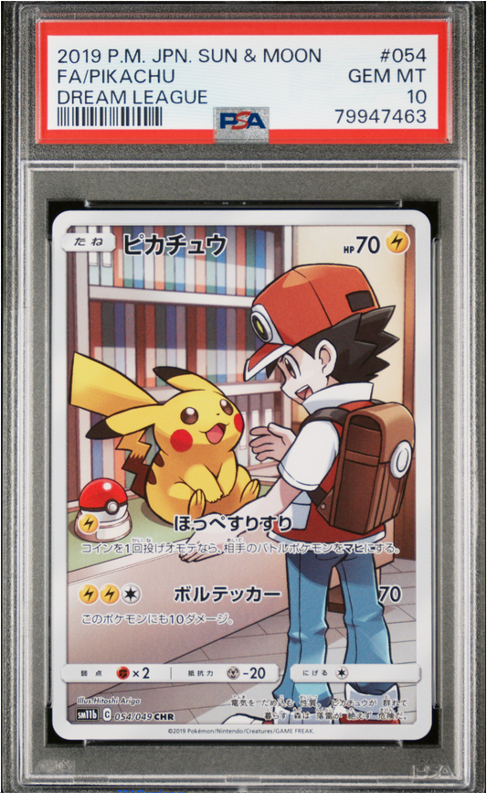 PSA 10 2019 PIKACHU (054/049)