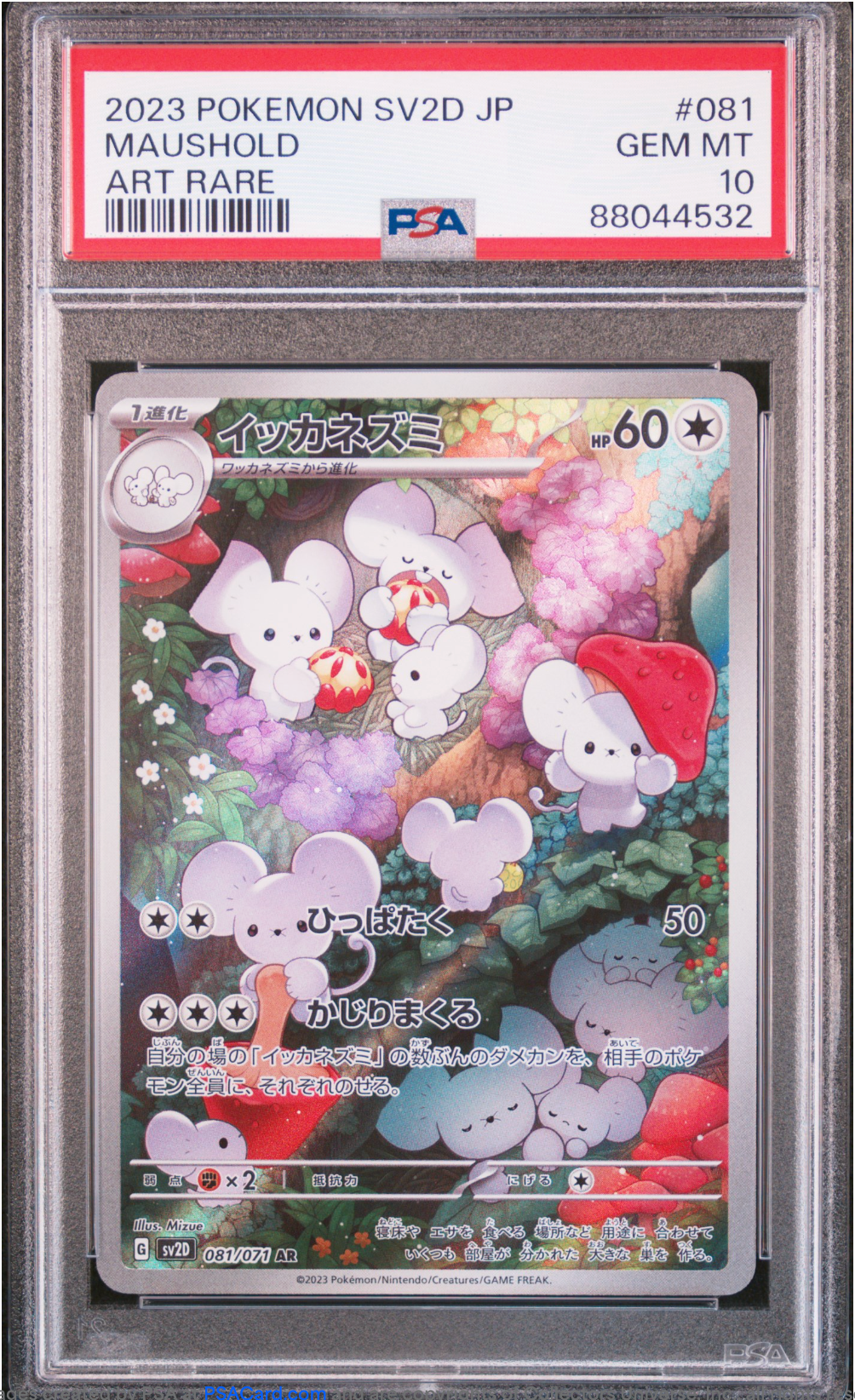 PSA 10 2023 MAUSHOLD (081/071)