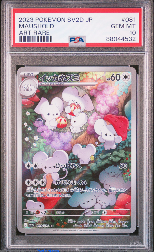 PSA 10 2023 MAUSHOLD (081/071)