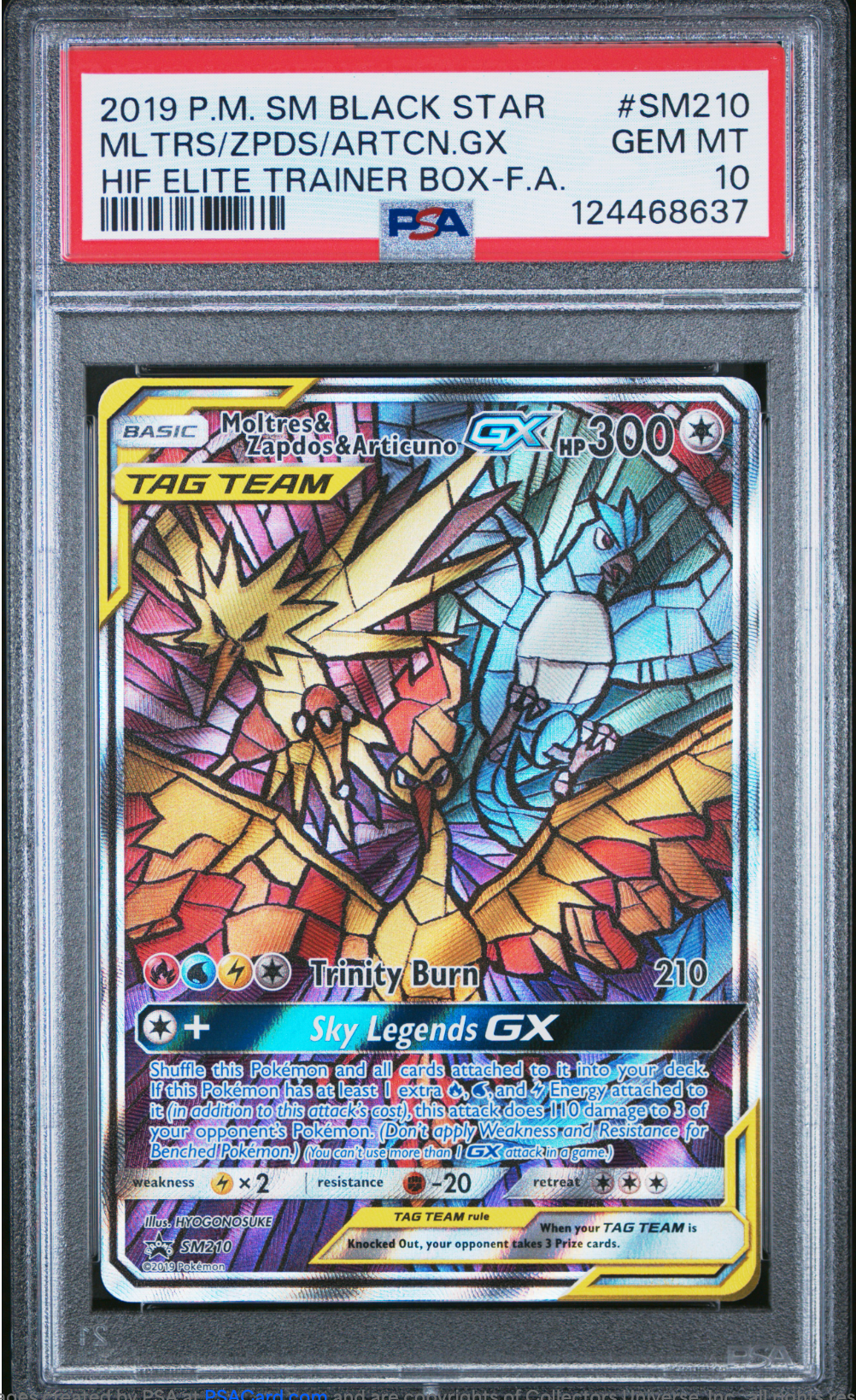 PSA 10 2019 MOLTRES ZAPDOS ARTICUNO GX (SM210)