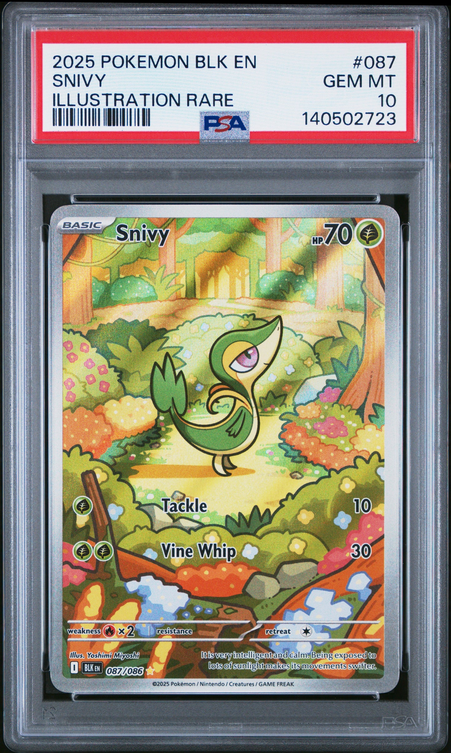 PSA 10 2025 SNIVY 087 BLK EN-BLACK BOLT