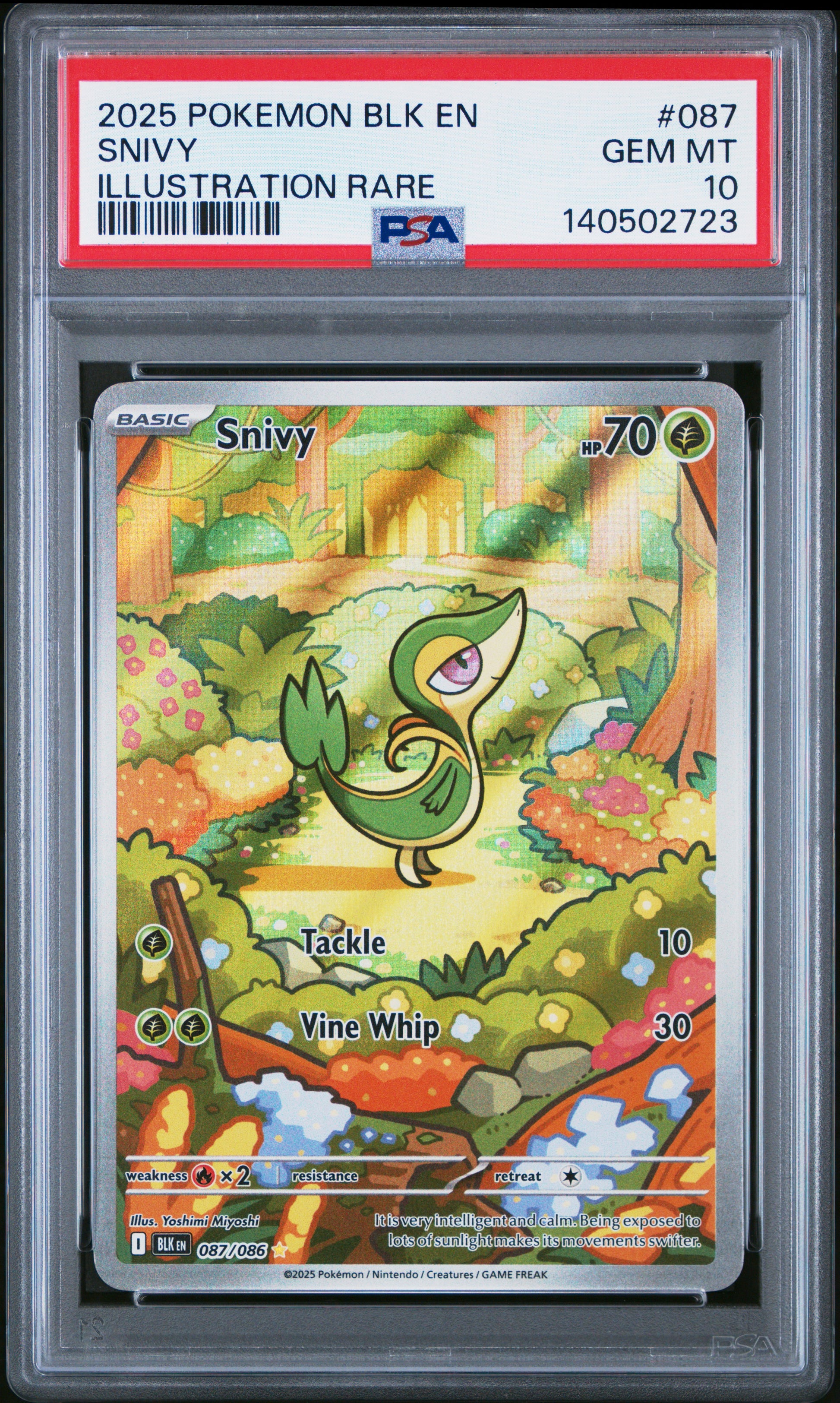 PSA 10 2025 SNIVY 087 BLK EN-BLACK BOLT