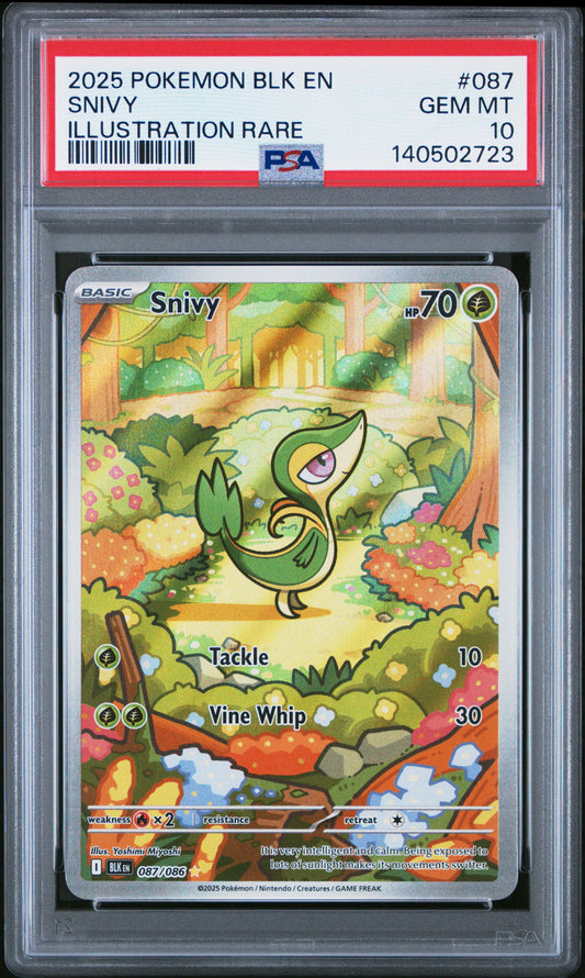 PSA 10 2025 SNIVY 087 BLK EN-BLACK BOLT